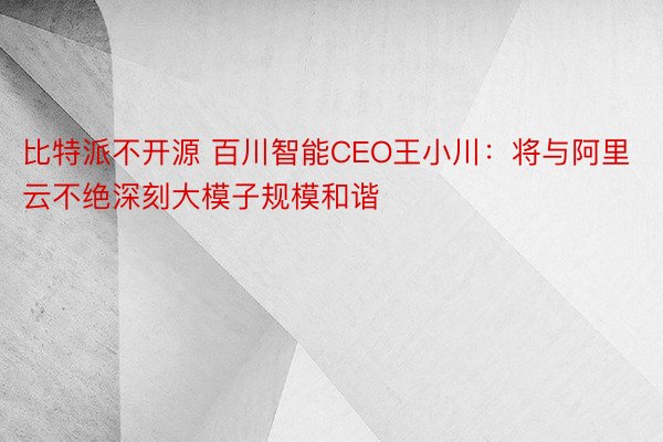 比特派不开源 百川智能CEO王小川：将与阿里云不绝深刻大模子规模和谐