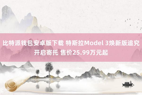 比特派钱包安卓版下载 特斯拉Model 3焕新版追究开启寄托 售价25.99万元起