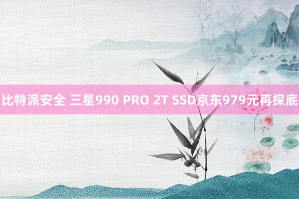 比特派安全 三星990 PRO 2T SSD京东979元再探底