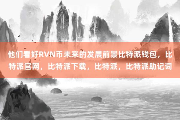 他们看好RVN币未来的发展前景比特派钱包，比特派官网，比特派下载，比特派，比特派助记词