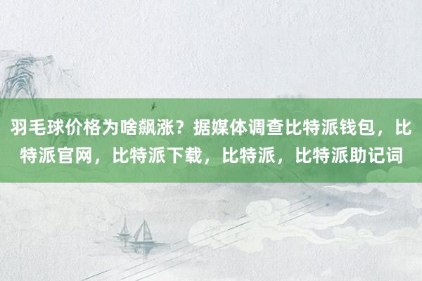 羽毛球价格为啥飙涨？据媒体调查比特派钱包，比特派官网，比特派下载，比特派，比特派助记词