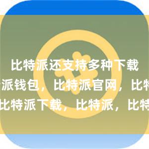 比特派还支持多种下载方式比特派钱包，比特派官网，比特派下载，比特派，比特派助记词